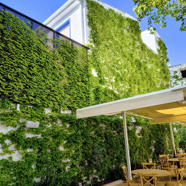 terraza3 en tamaño mediano